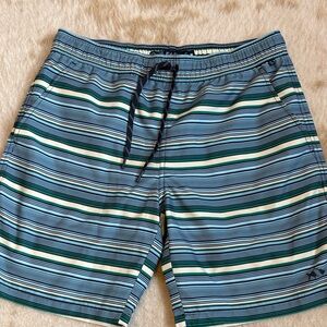 Men's Striped Board Shorts - Blue, Green, and White Fish Hippie